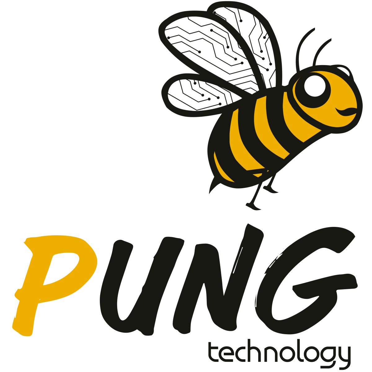 www.pungtechnology.com
